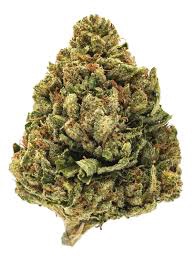 SFV OG THCA HEMP FLOWER